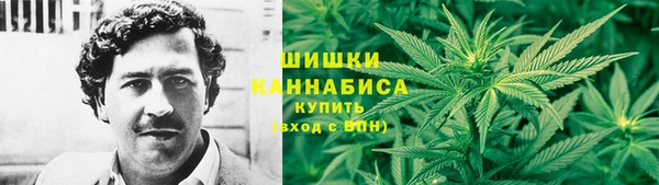 дмт Нея