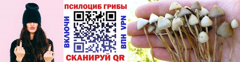 ОМГ ОМГ ONION  где купить наркотик  Анапа  Псилоцибиновые грибы мухоморы 
